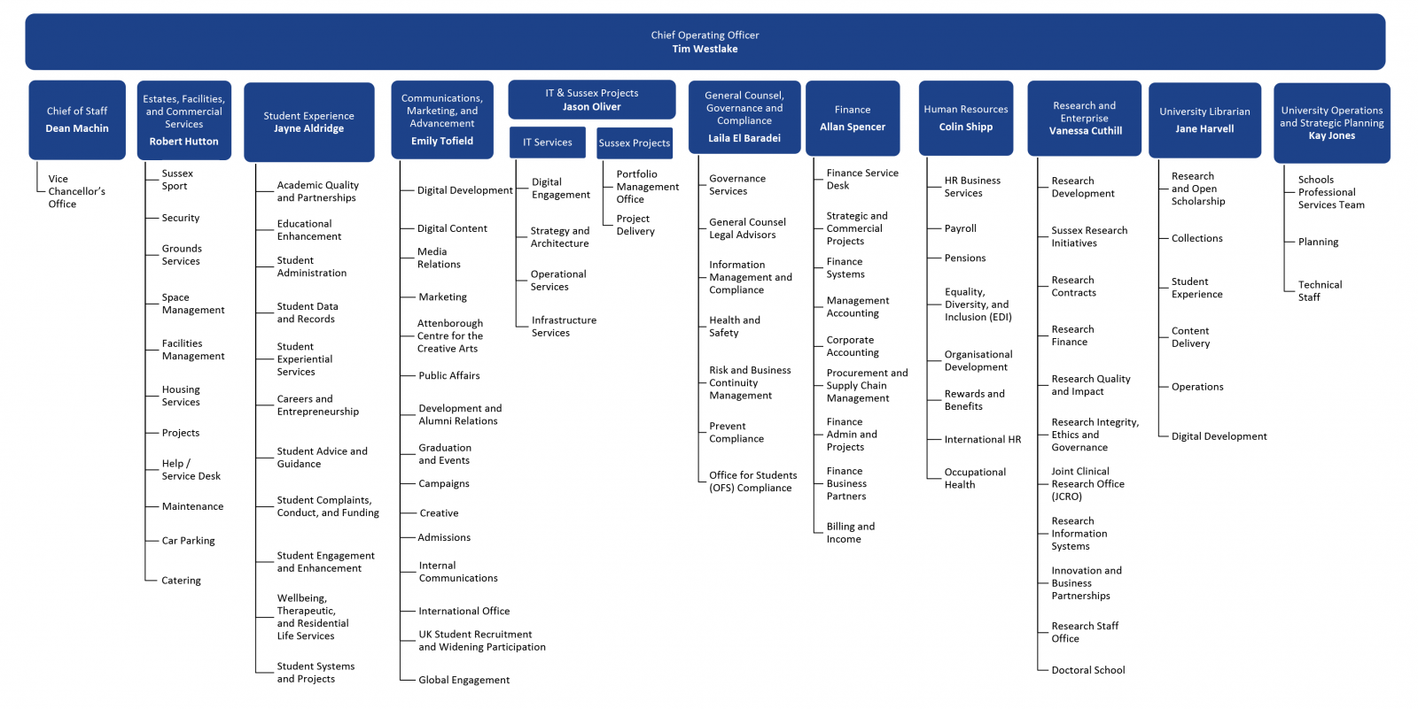 Image of Professional Services organogram. Continue for text version.