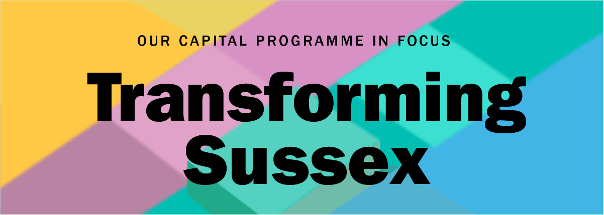 Tranforming Sussex logo