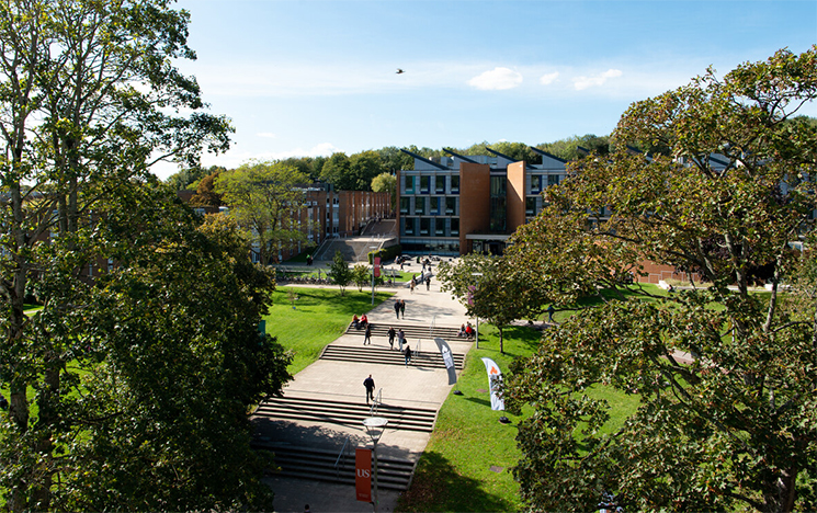 A view of campus, looking towards the Jubilee building