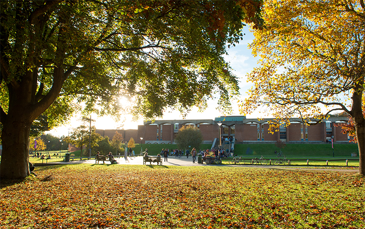 Students walking across campus in the autumn sunshine