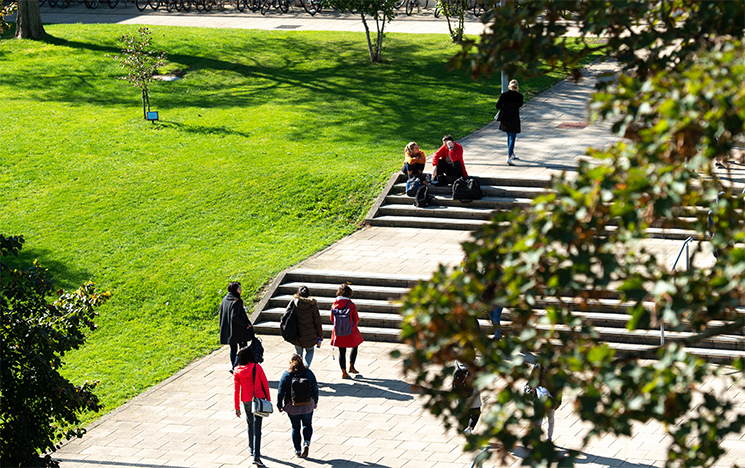Students walking across campus in the autumn sunshine