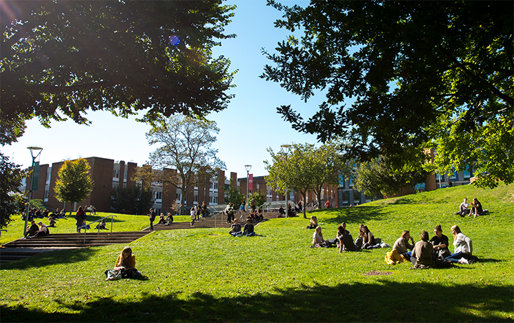 Students sitting in the sunshine on campus