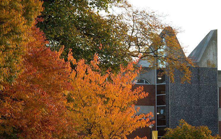 Autumn trees on Falmer campus overlooking a building.